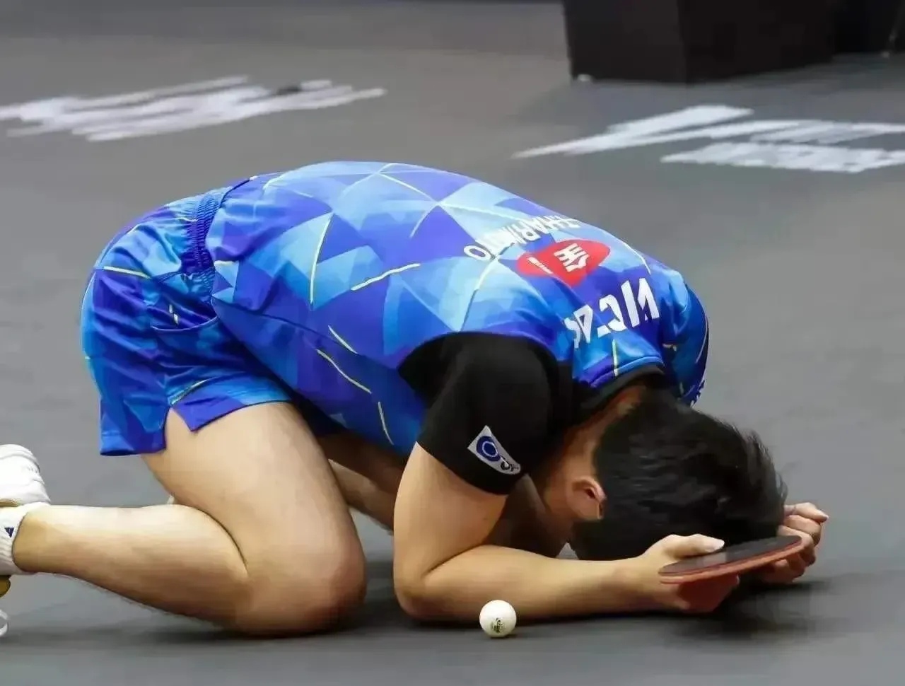 关于热门选手遭遇了出乎意料的挑战的信息