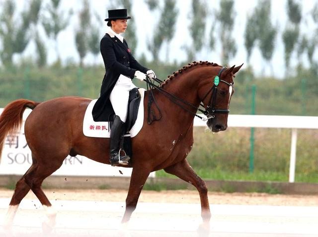 比利时马术选手遥遥领先，轻松获得个人赛金牌