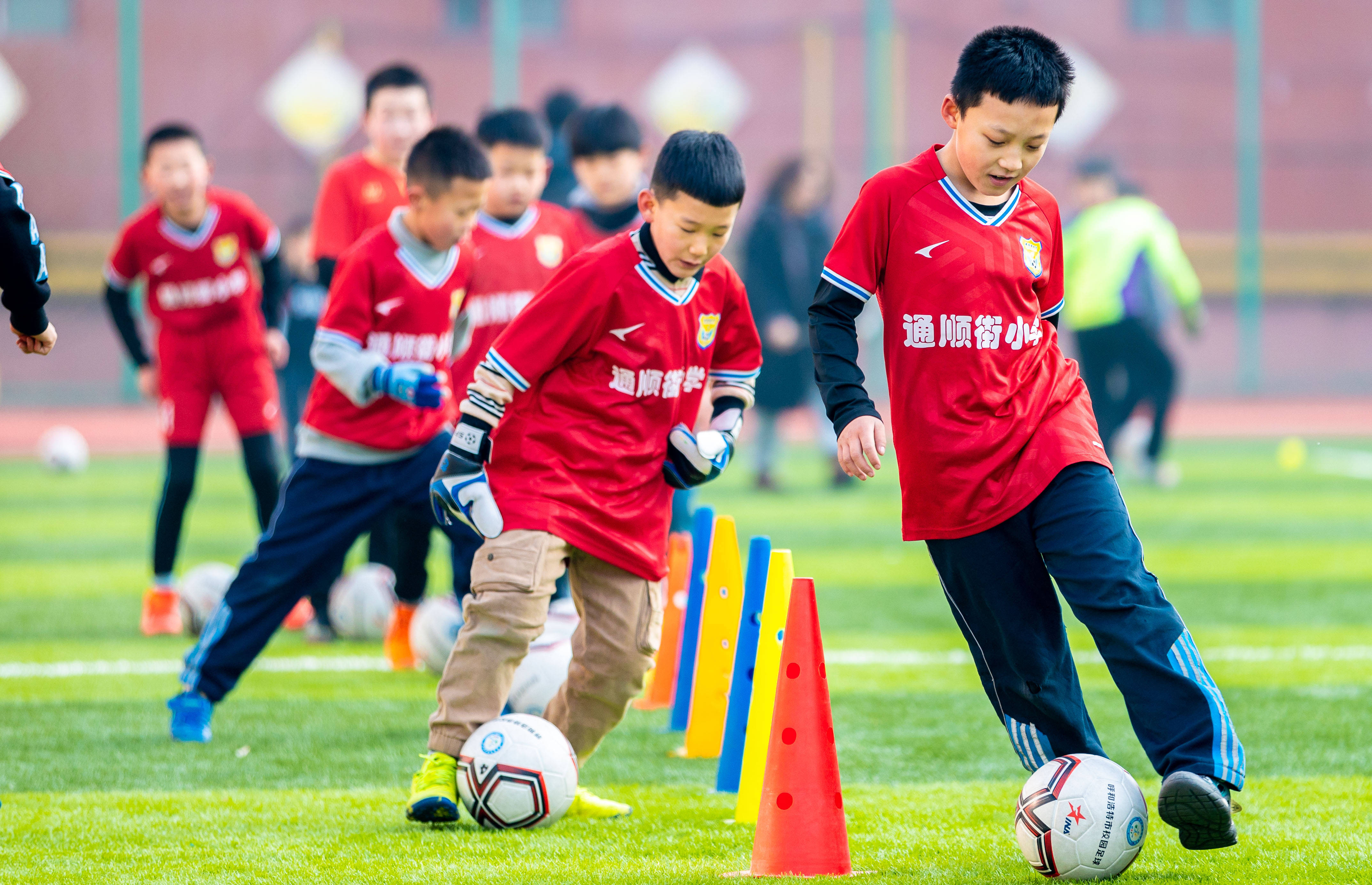 国内足球联赛火爆进行，球队实力对比激烈的简单介绍