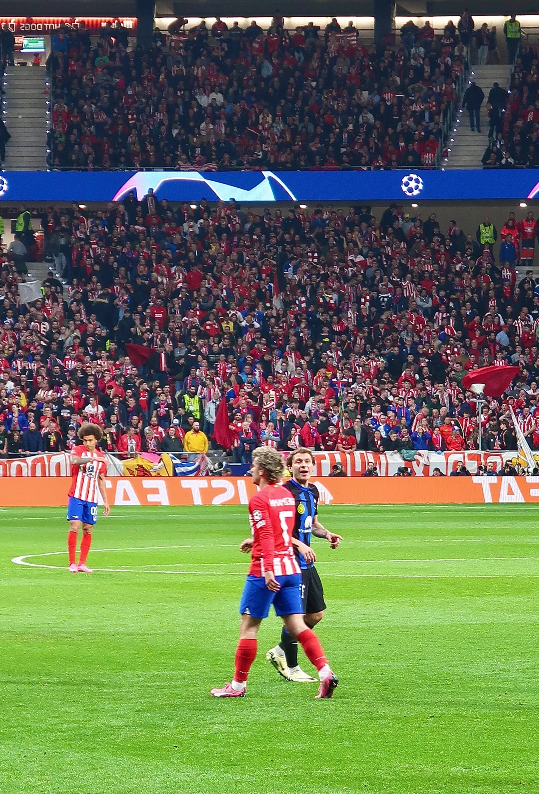 包含欧冠海量进球赛评分亮眼，球员状态火爆上涨的词条