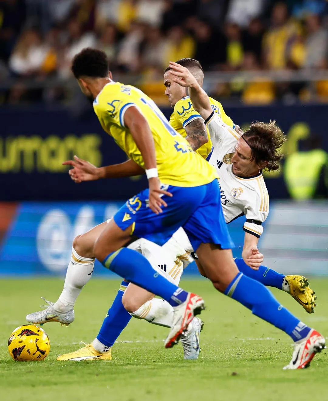 球员伤情：队员受伤备受关注的简单介绍