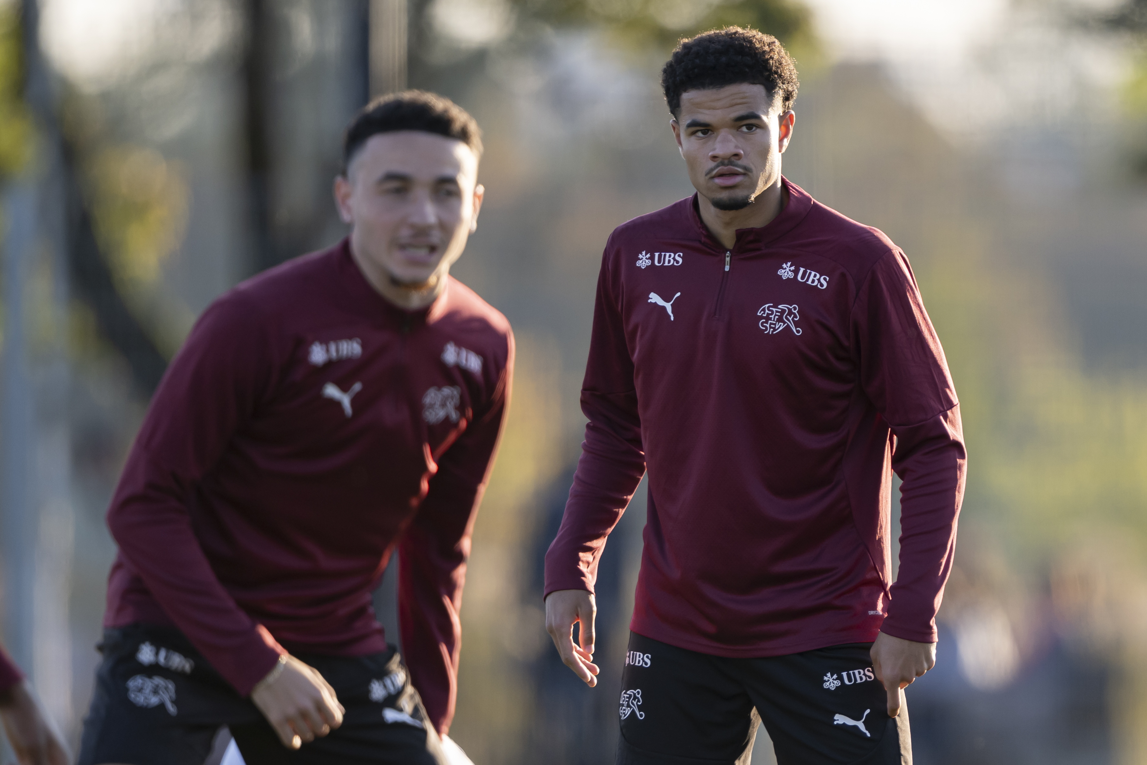 关于意大利对阵瑞士，备战欧预赛关键之战的信息