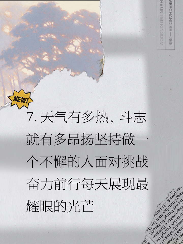 无畏勇士奋勇前行，争夺最高殊荣的简单介绍