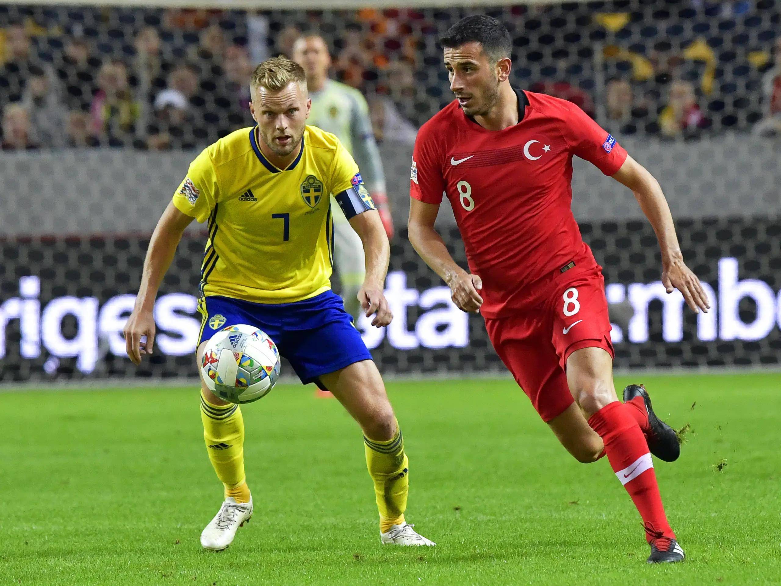 冰岛队备战欧预赛挑战